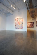 AMY SCHISSEL | SYSTEMS FEVER | INSTALLATION VIEW | PATRICK MIKHAIL GALLERY | OTTAWA | 2012