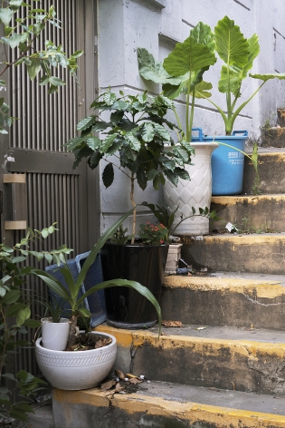 JINYOUNG KIM | SINDANG AREA 9, POTTED PLANTS ON STAIRS&nbsp;| C-PRINT MOUNTED ON DIBOND |&nbsp;20 X 30 INCHES |&nbsp;2019
