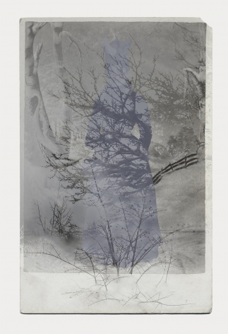 SARA ANGELUCCI | ARBORETUM (WOMAN/WINTER/FOREST) | PIGMENT PRINT ON ARCHIVAL PAPER | 24 X 34 INCHES | 2016&nbsp;